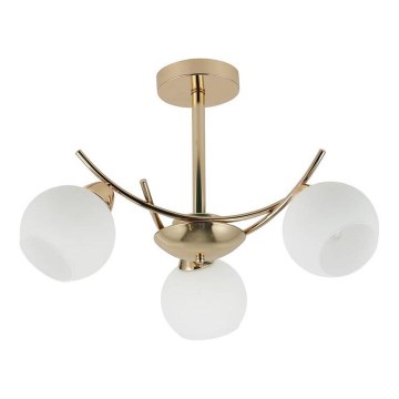 Lampadario a sospensione con supporto rigido AMOS 3xE27/40W/230V oro