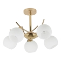 Lampadario a sospensione con supporto rigido AMOS 5xE27/40W/230V oro