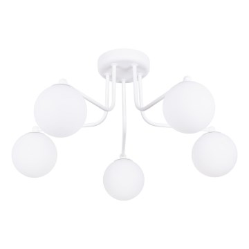 Lampadario a sospensione con supporto rigido ASTRAL 5xG9/8W/230V bianco