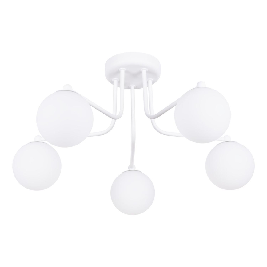 Lampadario a sospensione con supporto rigido ASTRAL 5xG9/8W/230V bianco