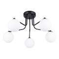 Lampadario a sospensione con supporto rigido ASTRAL 5xG9/8W/230V nero