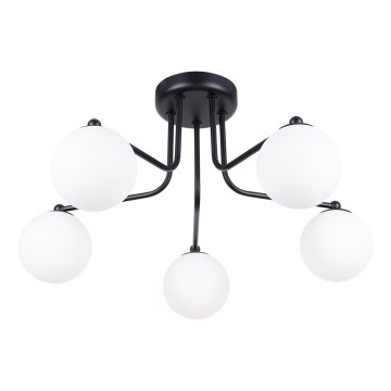 Lampadario a sospensione con supporto rigido ASTRAL 5xG9/8W/230V nero