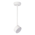 Lampadario a sospensione con supporto rigido NEMO 1xGX53/12W/230V 35 cm bianco
