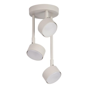 Lampadario a sospensione con supporto rigido NEMO 3xGX53/12W/230V beige