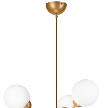 Lampadario a sospensione con supporto rigido RUBBY BALL 6xG9/5W/230V oro