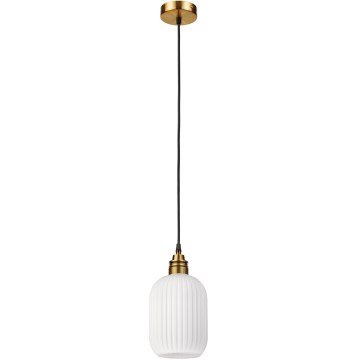 Lampadario a sospensione HECTOR con cavo 1xE27/15W/230V bianco/ottone Ø 14 cm