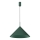 Lampadario a sospensione su cavo CAPITAL 1xGX53/15W/230V Ø 46 cm verde