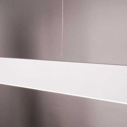 Lampadario a sospensione su cavo LED BERNADETTA LED/20W/230V 4000K bianco