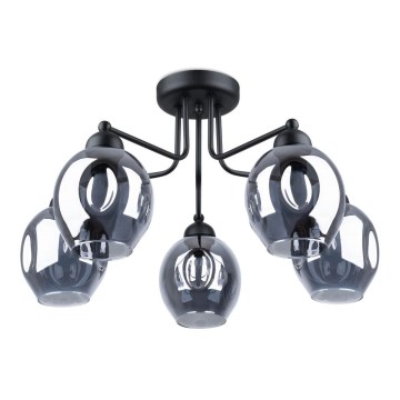 Lampadario a stelo FILLAN 5xE27/60W/230V nero
