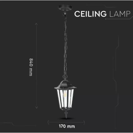 Lampadario da esterno su catena 1xE27/40W/230V IP44 nero