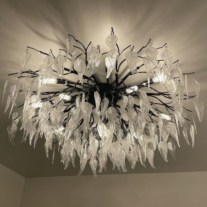 Lampadario di cristallo a plafone 12xG9/40W/230V nero