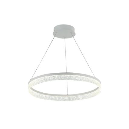 Lampadario LED dimmerabile a sospensione con cavo ALIANZ LED/60W/230V 3000-6000K, diametro 80 cm + telecomando