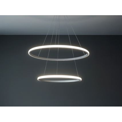 Lampadario LED dimmerabile su cavo LED/55W/230V 3000-6500K Ø 60 cm + telecomando