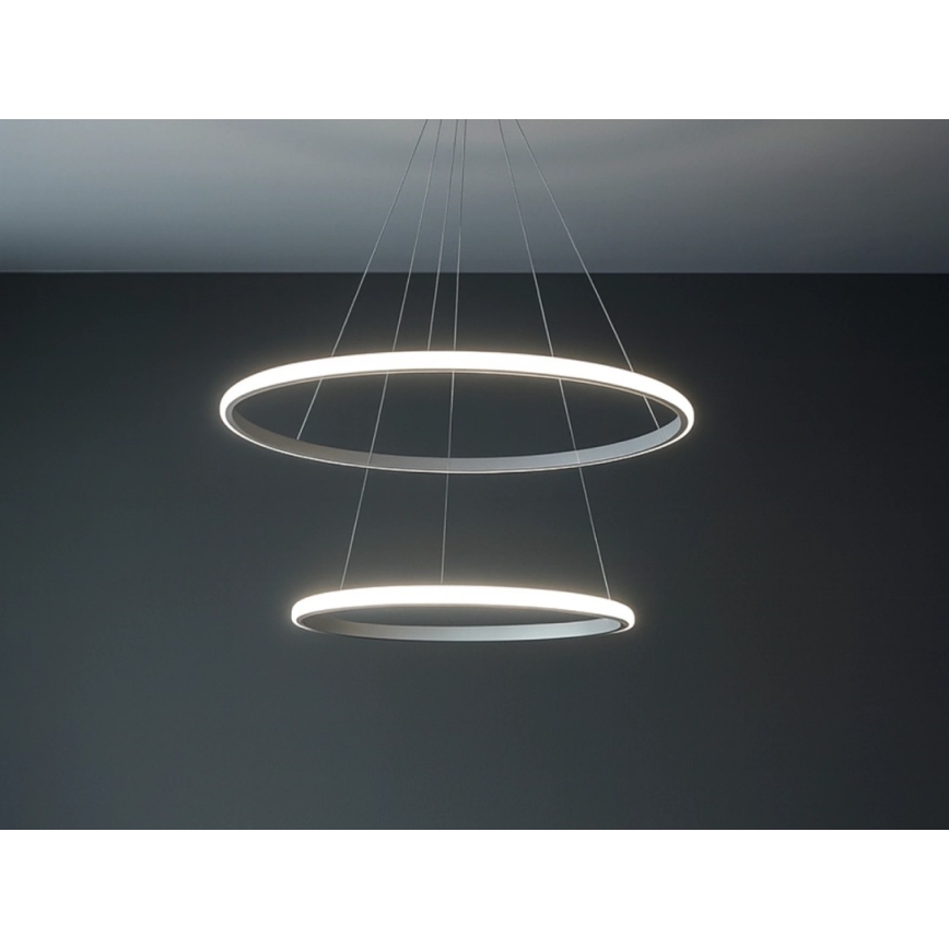 Lampadario LED dimmerabile su cavo LED/55W/230V 3000-6500K Ø 60 cm + telecomando