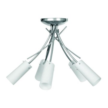 Lampadario fisso OSHINE 5xE14/40W/230V