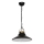 Lampadario IRON 1 1xE27/60W nero/ottone antico