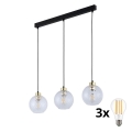 Lampadario LED a cavo DEVON 3xE27/15W/230V nero/trasparente
