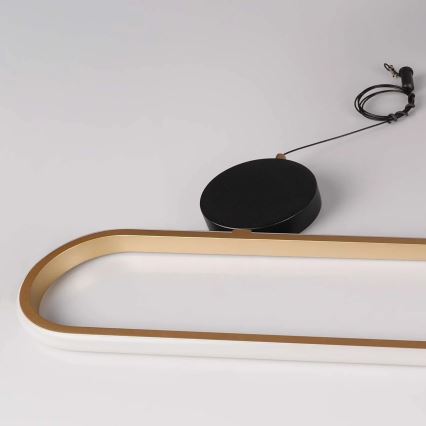 Lampadario LED a cavo FLORENTYNA LED/48W/230V 4000K dorato/nero