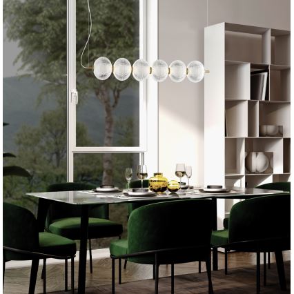 Lampadario LED a cavo PELLUCID LED/23W/230V oro/trasparente