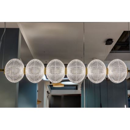 Lampadario LED a cavo PELLUCID LED/23W/230V oro/trasparente