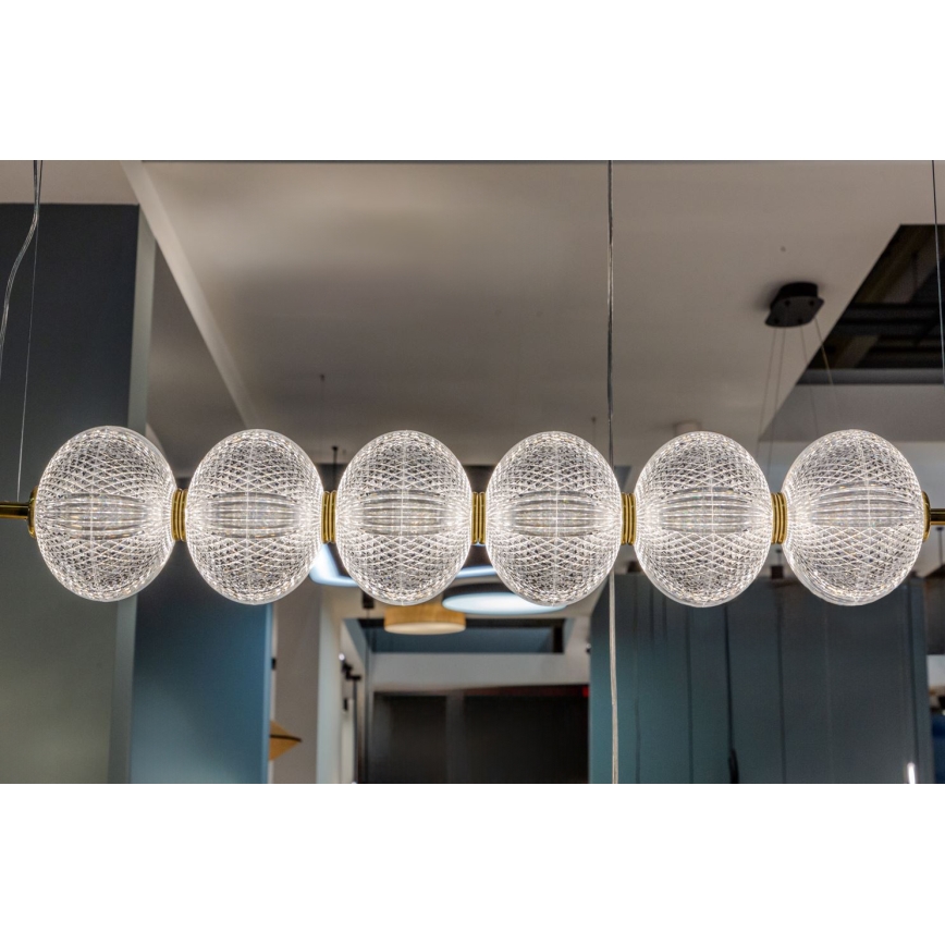 Lampadario LED a cavo PELLUCID LED/23W/230V oro/trasparente