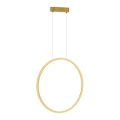 Lampadario LED a cavo SATURNO LED/28W/230V diam. 50 cm IP44 oro