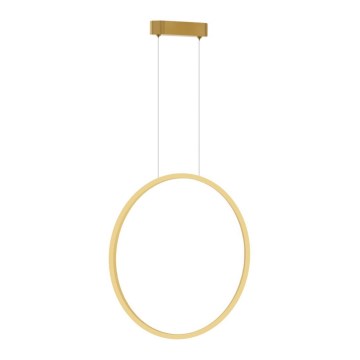 Lampadario LED a cavo SATURNO LED/28W/230V diam. 50 cm IP44 oro