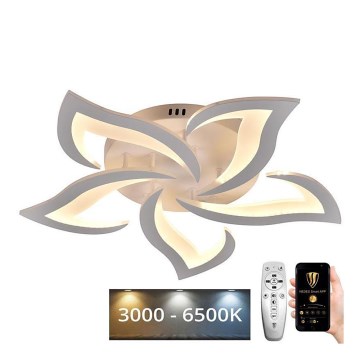 Lampadario LED a plafone dimmerabile LED/55W/230V 3000-6500K + telecomando