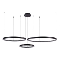 Lampadario LED a sospensione con filo 3xLED/19W/230V 3000K nero