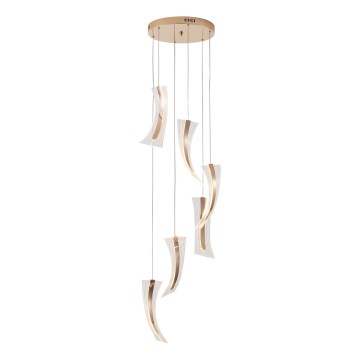Lampadario LED a sospensione con filo FIRENZE 6xLED/10W/230V 3000K