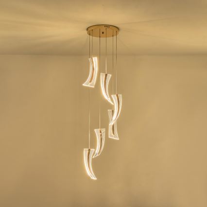 Lampadario LED a sospensione con filo FIRENZE 6xLED/10W/230V 3000K