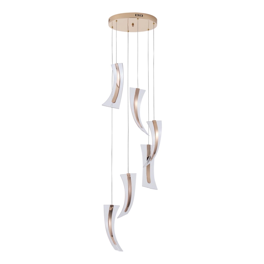 Lampadario LED a sospensione con filo FIRENZE 6xLED/10W/230V 3000K