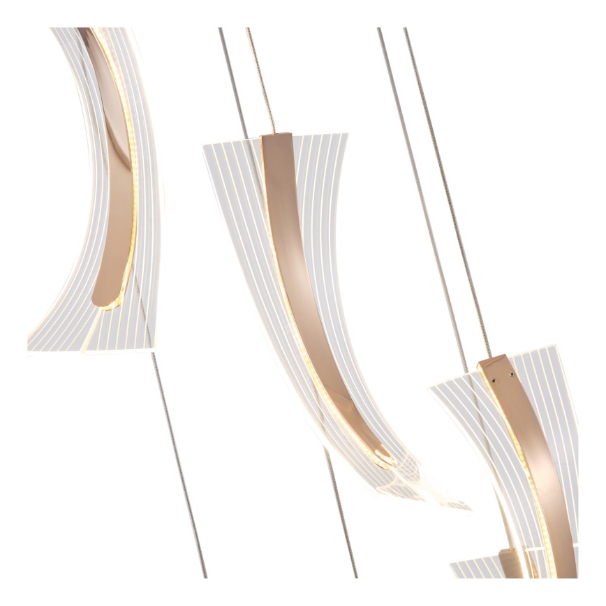 Lampadario LED a sospensione con filo FIRENZE 6xLED/10W/230V 3000K