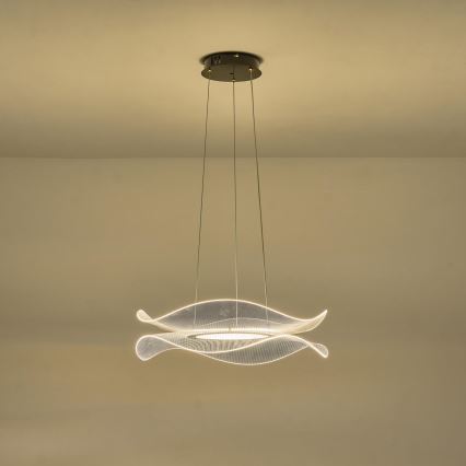 Lampadario LED a sospensione con filo FIRENZE LED/48W/230V 3000K diametro 54 cm