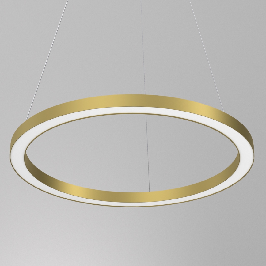Lampadario LED a sospensione con filo GALAXIA LED/26W/230V oro