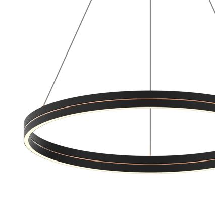 Lampadario LED a sospensione con filo GRAVITY LED/36W/230V nero