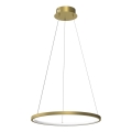 Lampadario LED a sospensione con filo HOOP LED/27W/230V diametro 50 cm 4000K oro