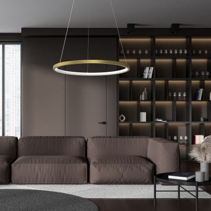 Lampadario LED a sospensione con filo HOOP LED/27W/230V diametro 50 cm 4000K oro