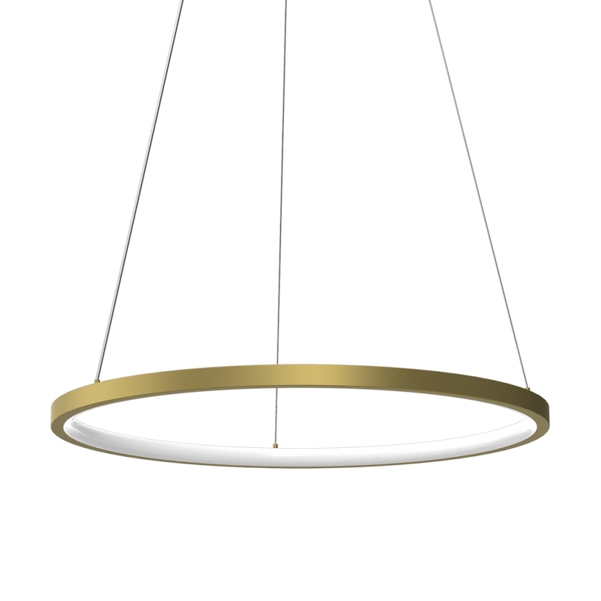 Lampadario LED a sospensione con filo HOOP LED/27W/230V diametro 50 cm 4000K oro
