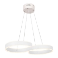 Lampadario LED a sospensione con filo INFINITY LED/50W/230V