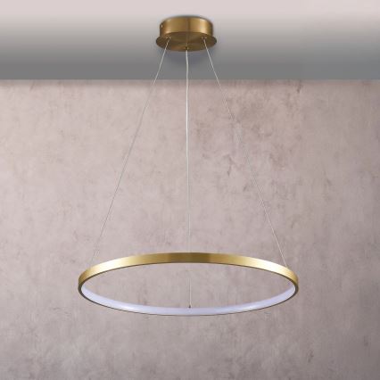 Lampadario LED a sospensione con filo LEA LED/20W/230V 4000K diametro 50 cm oro