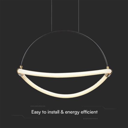 Lampadario LED a sospensione con filo LED/12W/230V 3000K diametro 40 cm