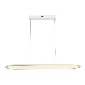 Lampadario LED a sospensione con filo LED/24W/230V 3000K bianco