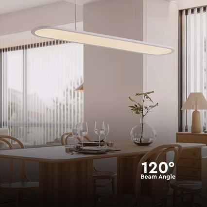 Lampadario LED a sospensione con filo LED/24W/230V 3000K bianco