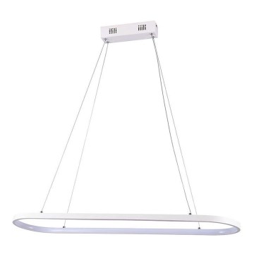 Lampadario LED a sospensione con filo LED/24W/230V 4000K bianco