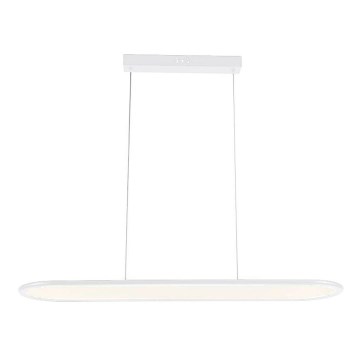 Lampadario LED a sospensione con filo LED/24W/230V 4000K bianco