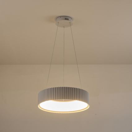 Lampadario LED a sospensione con filo LED/30W/230V 3000K bianco