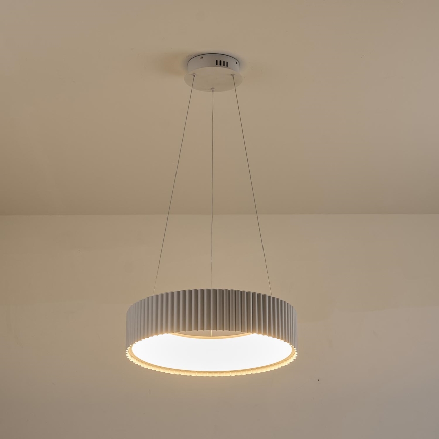 Lampadario LED a sospensione con filo LED/30W/230V 3000K bianco