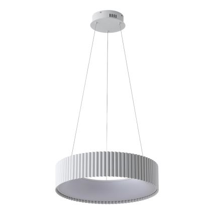 Lampadario LED a sospensione con filo LED/30W/230V 3000K bianco