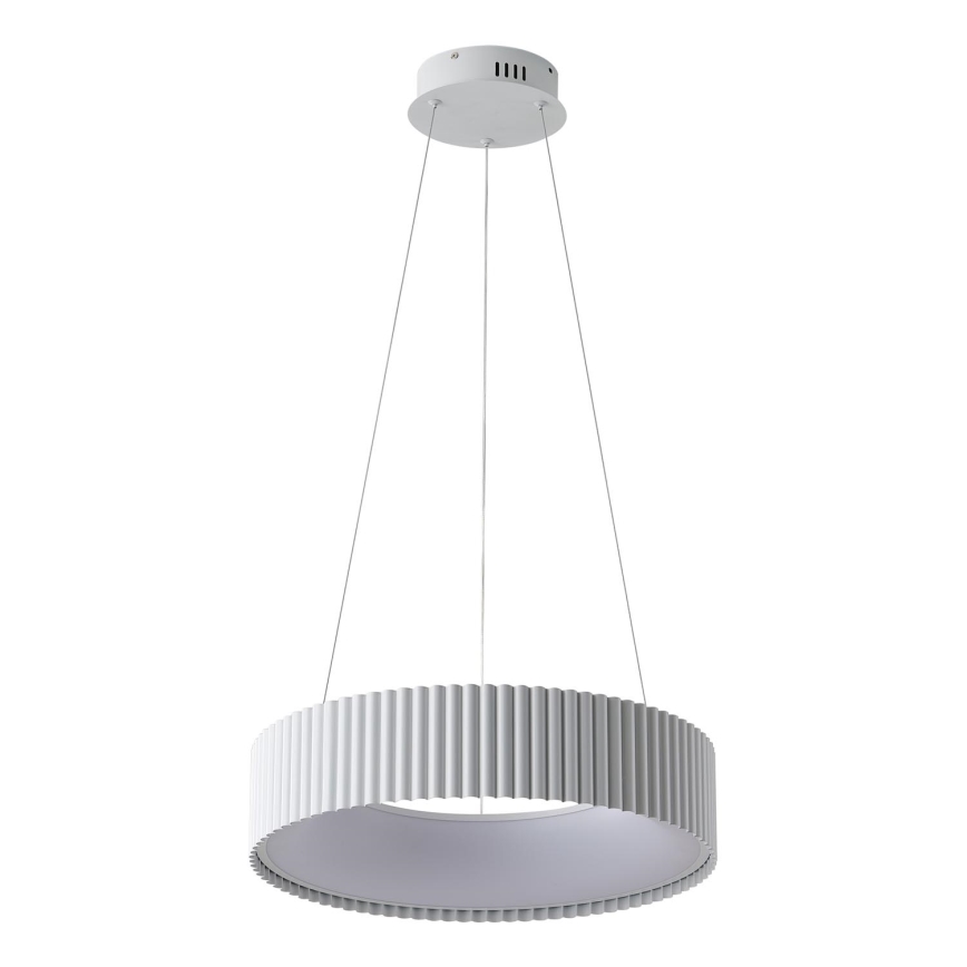Lampadario LED a sospensione con filo LED/30W/230V 3000K bianco